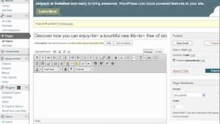 Wordpress Tip: How to create multi-level headline; retweet plugin