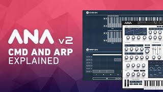 ANA 2 - CMD and Arp Explained!