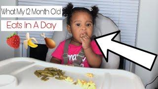 WHAT MY 1 YEAR OLD EATS IN A DAY 