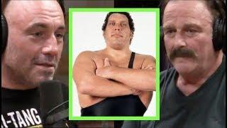 Joe Rogan - Jake The Snake on Andre the Giant