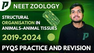 Structural Organisation in Animals | NEET PYQ Discussion (2019-2024) | OP Sir | P Academy