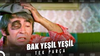 Bak Yeşil Yeşil | Şener Şen Eski Türk Filmi Full İzle