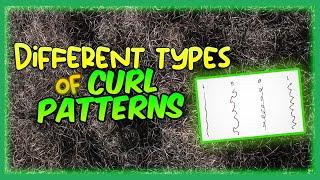 Did you know there's 4 curl patterns? #shorts #naturalhair #curlyhair