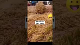 Virall!! Petani ngebut #viral #shorts