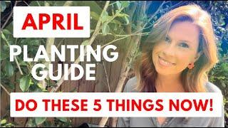 APRIL planting guide - how to grow HUGE Autumn Veggies! Melbourne - Gardening Australia