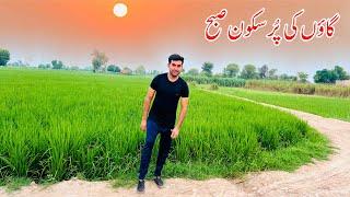 Gaon Ki pursakon Subah | morning routine in Village Punjab | Shoaib Maharzada