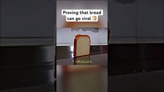 Proving that bread can go VIRAL! #bread #edit #funny #food #tnkdude #vira #fyp #shortsfeed