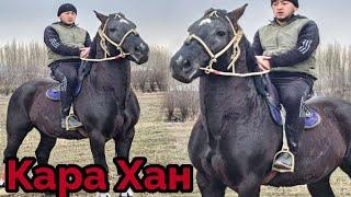 Кара Хан Чили Сайда️