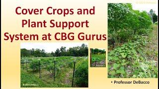 Cover Crops and Plant Support System at CBG Gurus