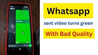 WhatsApp sent video turns green with bad quality on Google pixel