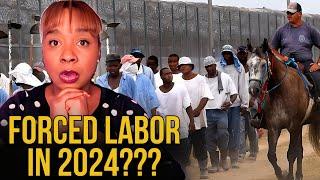 INSANE: Alabama FORCED Labor!