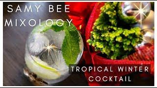 Samy Bee Mixology | Tropical Winter Cocktail