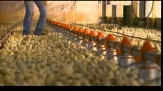 Unser Essen - The Future of Food (USA 2004) - Trailer deutsch/german