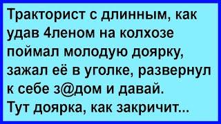 Тракторист зажал в уголке молоденькую доярку... Сборник! Юмор! Позитив!