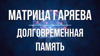 МОЩНАЯ МАТРИЦА ГАРЯЕВА! УЛУЧШЕНИЕ ПАМЯТИ! КВАНТОВОЕ ОЧИЩЕНИЕ МОЗГОВОЙ ДЕЯТЕЛЬНОСТИ! 04/08/2024 г.