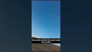 Qobu parkda sahibsiz itlər azyaşlı uşağa hücum etdilər