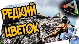 ARK: Survival Evolved - В ПОИСКАХ РЕДКИХ ЦВЕТОВ!