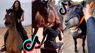 The Best HORSE TikTok Compilation #228