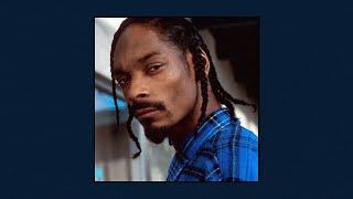 Snoop Dogg x G Funk Type Beat - Da Game Is To Be Sold | West Coast Instrumental