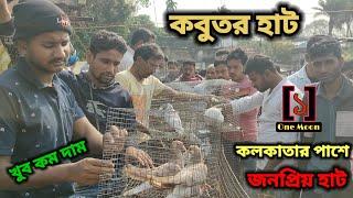 Uluberia pet market | Current Exotic Pigeon's Price Update at Uluberia 24/02/2024 Visit | One Moon