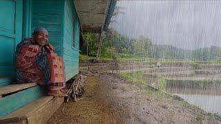 Suasana Syahdu Saat Hujan Mengguyur Kampung Cisangkal, Cihurip. Suasana Pedesaan Jawa Barat Garut