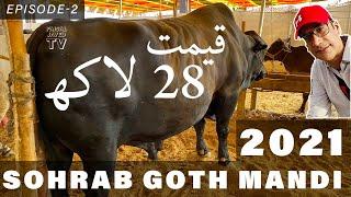 COW MANDI 2021 SOHRAB GOTH KARACHI  Episode 2  Faisal Javed TV