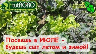 СЕЕМ ПОСЛЕ ЧЕСНОКА. САМОЕ ВРЕМЯ ПОСЕЯТЬ В ИЮЛЕ. Что посеять в огороде в июле и получить урожай?