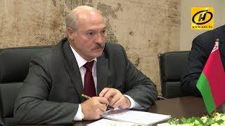 Александр Лукашенко встретился с президентом Узбекистана