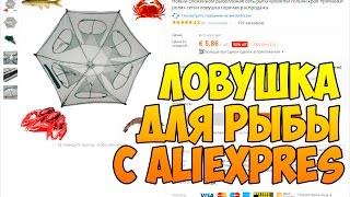 Раколовка складная ловушка для рыбы в виде зонтика с Aliexpress за 6$