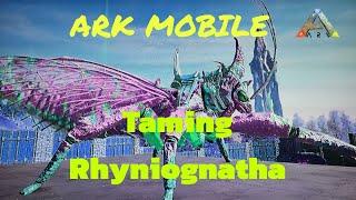 Taming Rhyniognatha How to tame Rhyniognatha || Ark Ultimate Survival Mobile Edition || #arkmobile