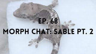 Sable Crested Geckos pt. 2 | Ep. 68 of The Gecko Pod