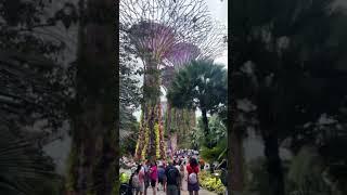 Inside Singapore’s Insane Flower Dome