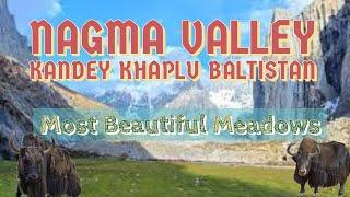 Travel to Kandey Meadow: Stunning Scenery in Nagma Valley Khaplu Gilgit Baltistan, Pakistan