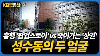 흥행 '팝업스토어' vs 죽어가는 '상권', 성수동의 미래는..?