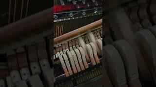 Sizzle of the sounds old upright piano. WHY? HOW fix it DIY. #piano