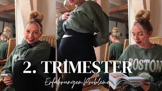 2. Trimester  | 13-27 SSW | Erfahrungen, Probleme, Nestbautrieb