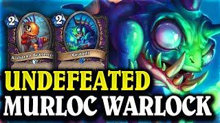 100% Winrate! The Murloc Deck YOU NEED TO PLAY! | Hearthstone