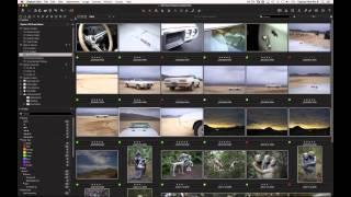 Capture One Pro 8 Webinar | Catalog or Session?