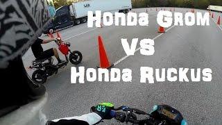 Honda Grom vs Honda Ruckus