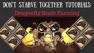 Don't Starve Together Guide: Dragonfly Scale Farming