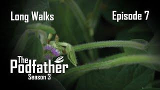The Podfather | 307 - Long Walks