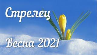 СТРЕЛЕЦ - ТАРО Прогноз. Март 2021. Работа. Финансы. Личная жизнь. Совет