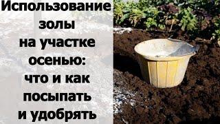 А вы знали Какие культуры необходимо удобрять золой осенью?