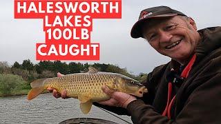 Pole Fishing Halesworth Lakes,  #JamesAtkinsFishing