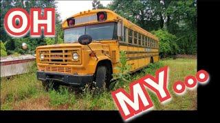 A Bus, Planes, Trucks and a Crane Michigan 'Clean up' Auction + I make an unexpected buy!