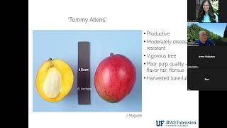 UF/IFAS Extension: Mango Morning with Dr. Jonathan Crane