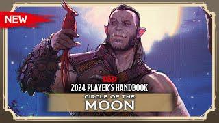 New Druid: Circle of the Moon | 2024 Player's Handbook | D&D