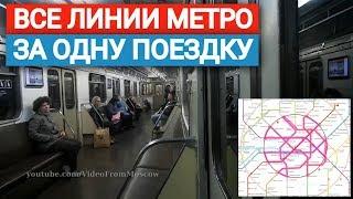 Все линии метро за одну поездку // 29 июня 2019