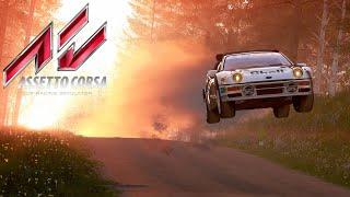 Rallying in Assetto Corsa just got a lot better