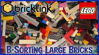 B-SORTING LARGE BRICKS!!! | LIVE!